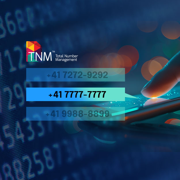 Golden Numbers, Enhanced Revenue: Strategies for Leveraging Premium Numbers