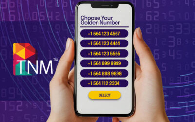 Monetize What You Already Own: The Revenue Potential of Premium Numbers