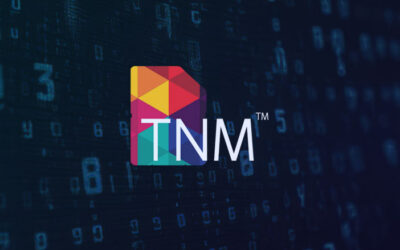 Golden Numbers: The High-Margin Growth Lever Hiding in Your Number Inventory