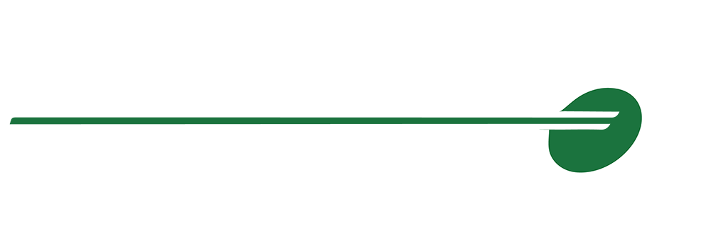 logo_smsgt_white SMSGT Logo - Evolving Systems