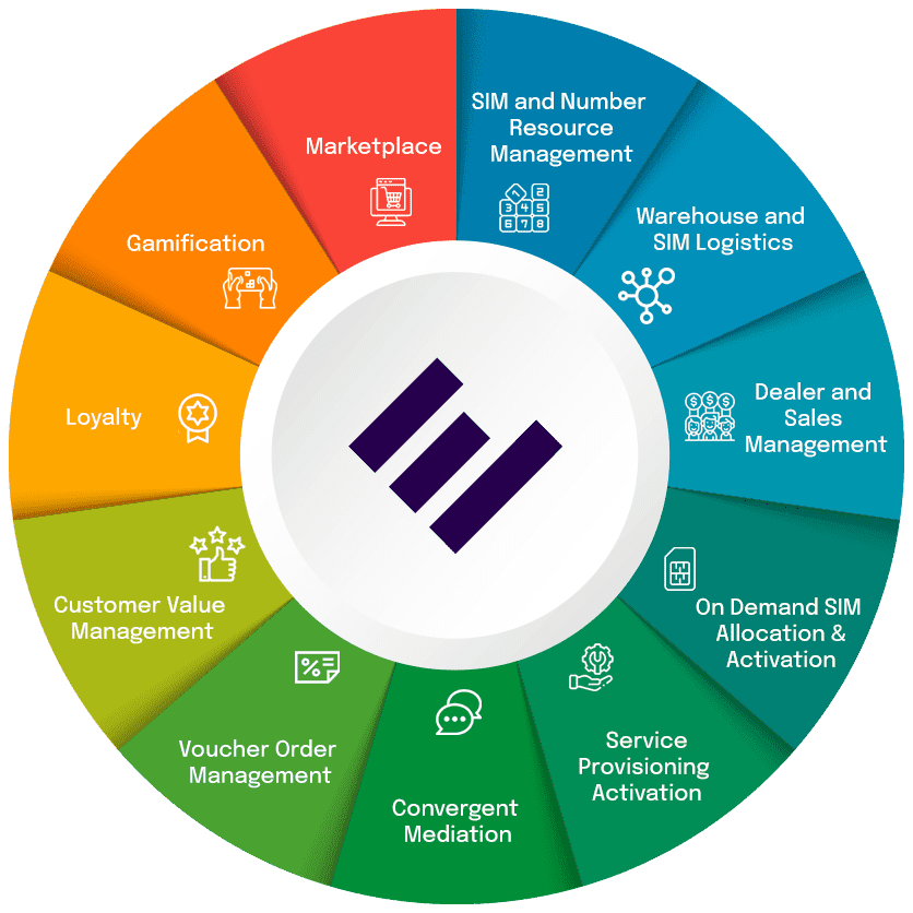 Evolving Systems Solutions